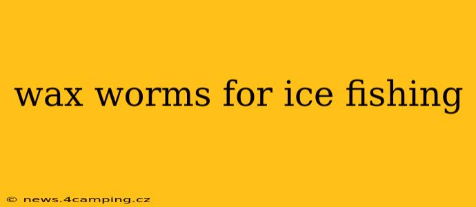 wax worms for ice fishing