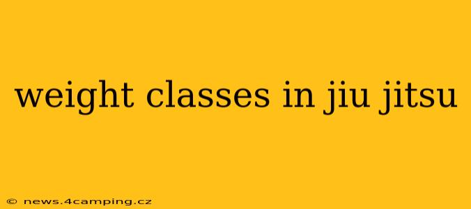weight classes in jiu jitsu