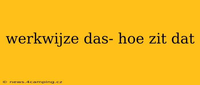 werkwijze das- hoe zit dat