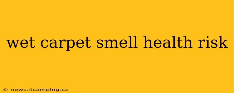 wet carpet smell health risk