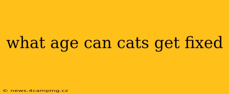what age can cats get fixed