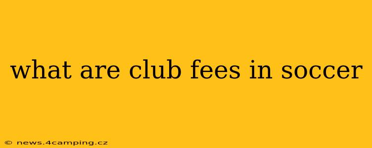 what are club fees in soccer