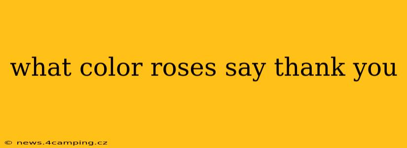 what color roses say thank you