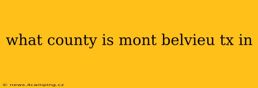 what county is mont belvieu tx in