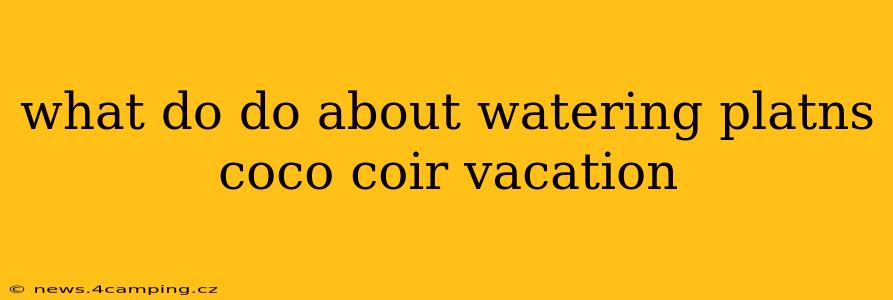 what do do about watering platns coco coir vacation