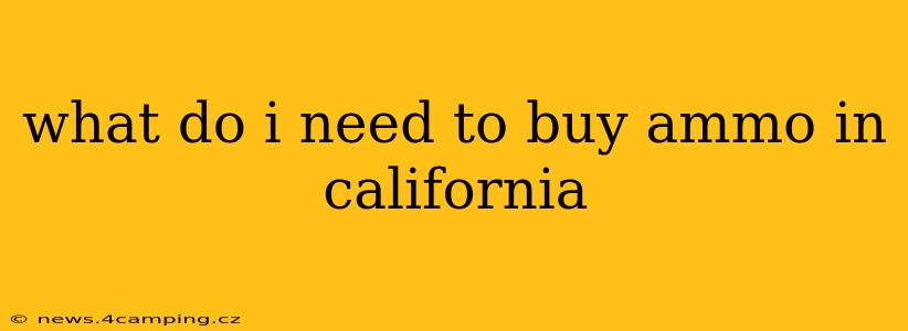 what do i need to buy ammo in california