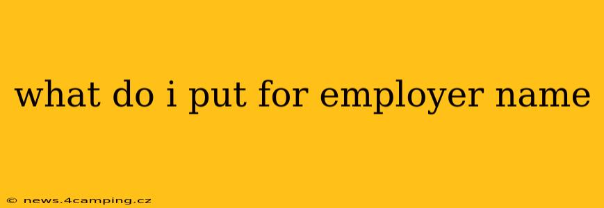 what do i put for employer name