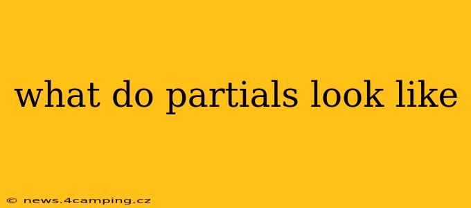 what do partials look like