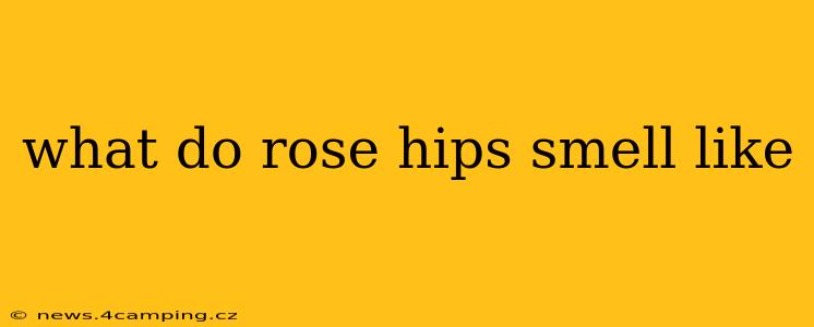 what do rose hips smell like