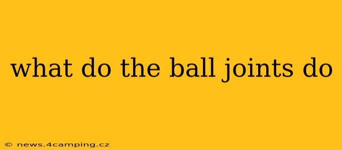 what do the ball joints do