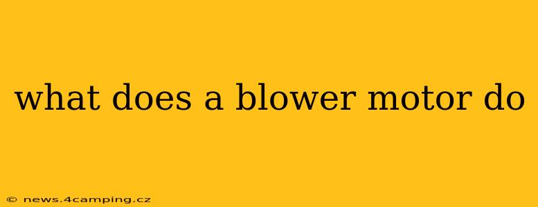 what does a blower motor do