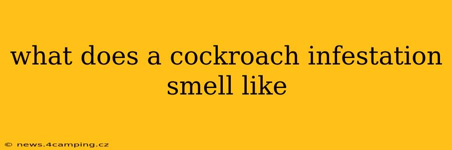 what does a cockroach infestation smell like