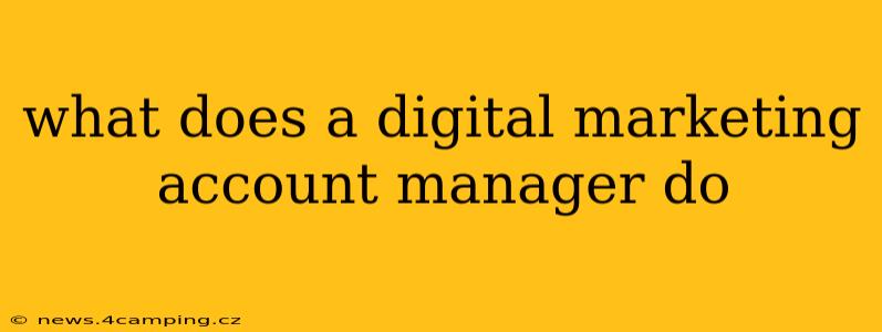 what does a digital marketing account manager do