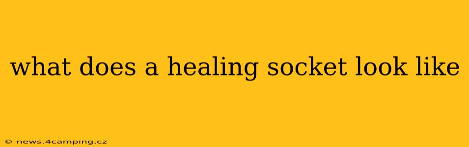 what does a healing socket look like