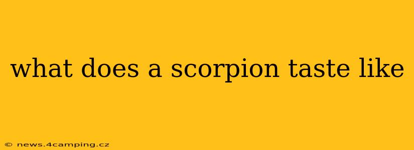 what does a scorpion taste like