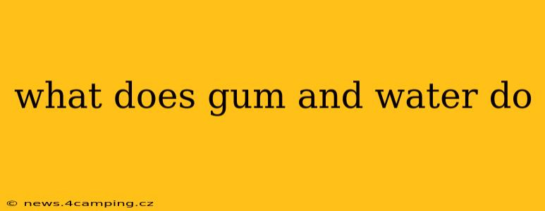 what does gum and water do