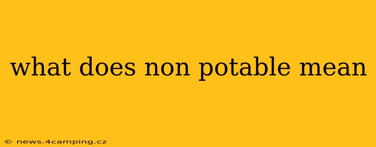 what does non potable mean