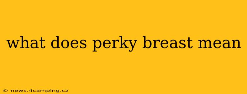what does perky breast mean