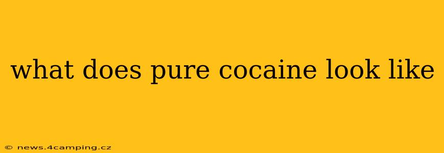 what does pure cocaine look like