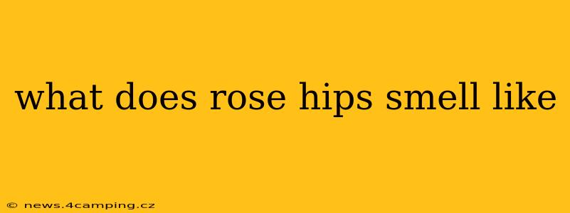 what does rose hips smell like