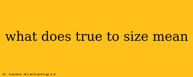 what does true to size mean