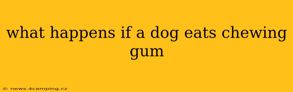 what happens if a dog eats chewing gum