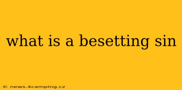what is a besetting sin