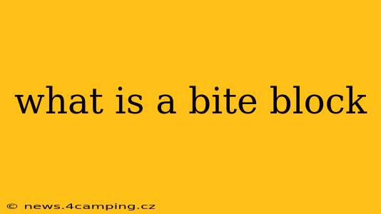 what is a bite block
