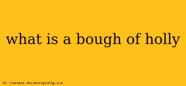 what is a bough of holly