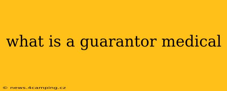 what is a guarantor medical