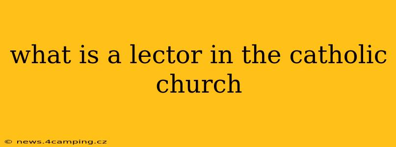what is a lector in the catholic church