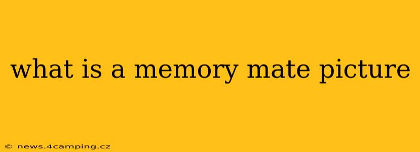 what is a memory mate picture