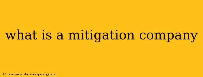 what is a mitigation company
