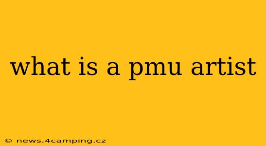 what is a pmu artist