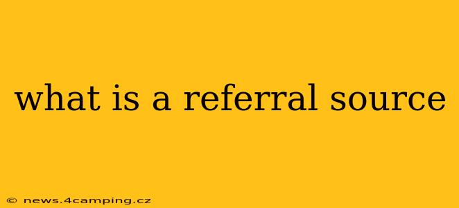 what is a referral source