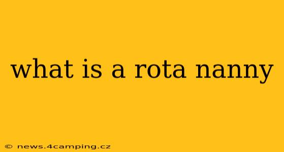 what is a rota nanny