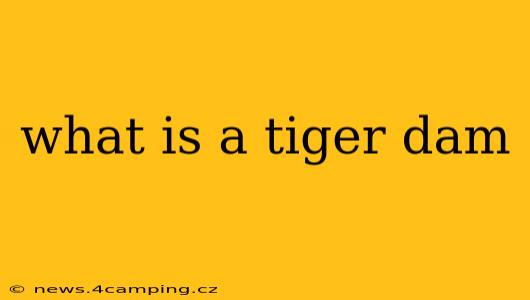 what is a tiger dam