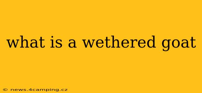 what is a wethered goat