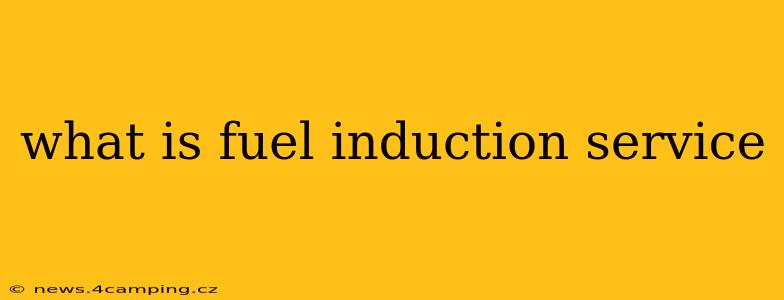 what is fuel induction service