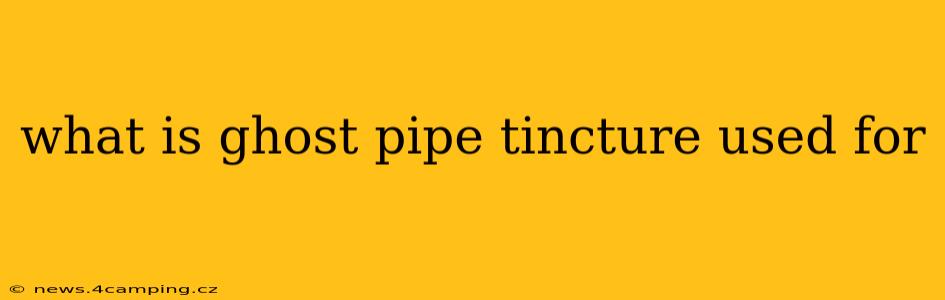 what is ghost pipe tincture used for