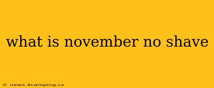 what is november no shave