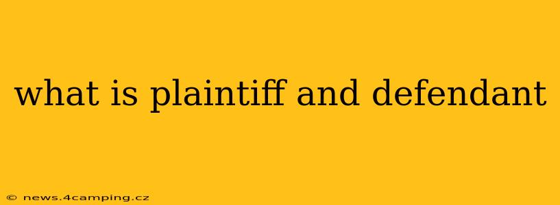 what is plaintiff and defendant