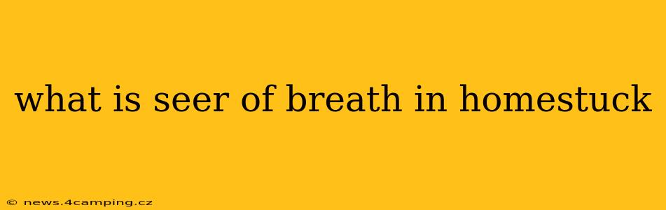 what is seer of breath in homestuck
