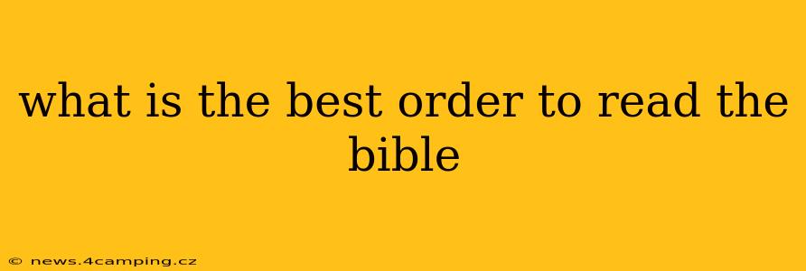 what is the best order to read the bible