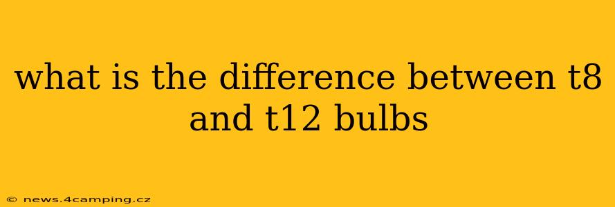 what is the difference between t8 and t12 bulbs
