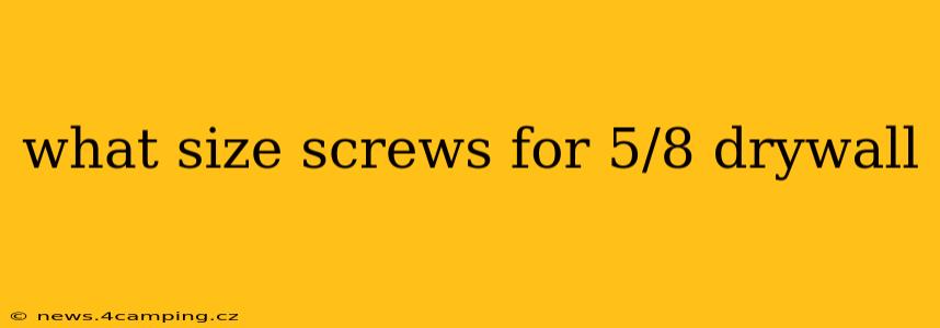 what size screws for 5/8 drywall