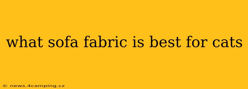 what sofa fabric is best for cats