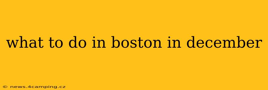 what to do in boston in december