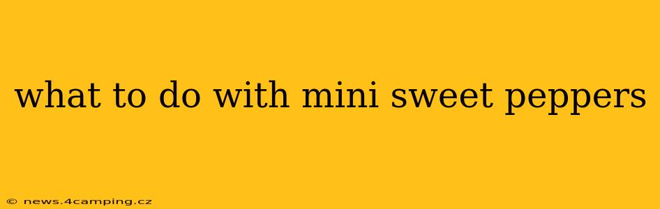 what to do with mini sweet peppers