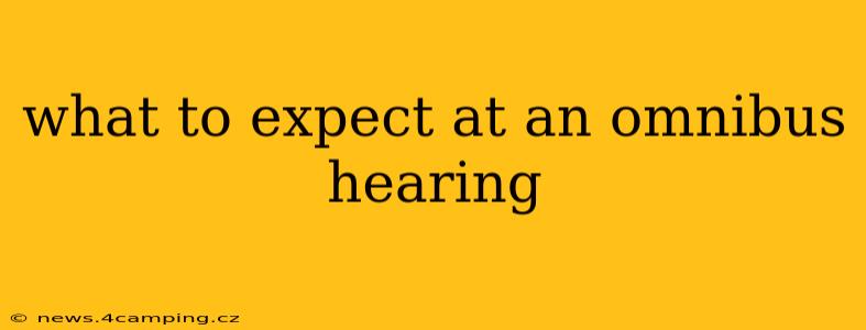 what to expect at an omnibus hearing